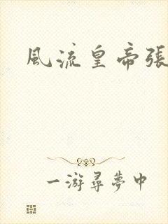 风流皇帝张无忌