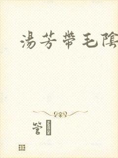 汤芳带毛阴部
