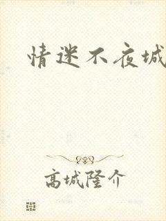 情迷不夜城