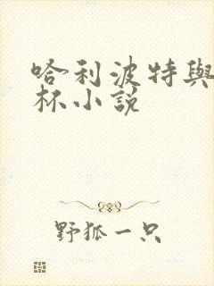 哈利波特与火焰杯小说