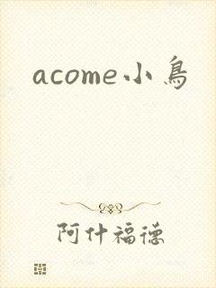 acome小鸟