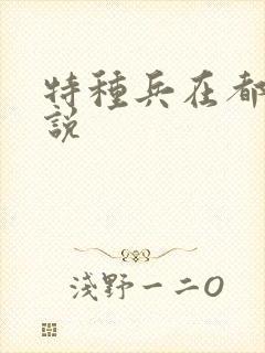 特种兵在都市小说