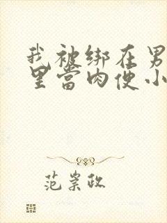 我被绑在男公厕里当肉便小说