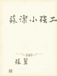 苏洁小强工地情