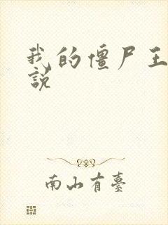 我的僵尸王爷小说