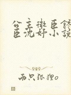 公主微臣馋了微臣沈妤小说