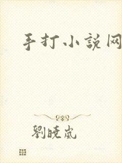 手打小说网
