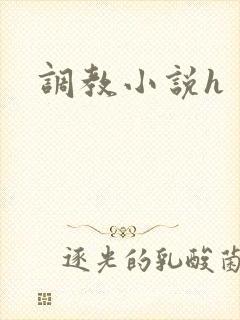调教小说h