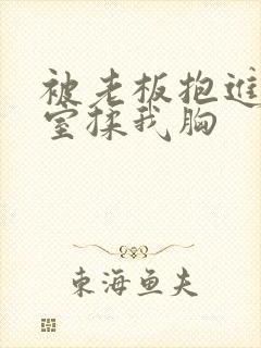 被老板抱进办公室揉我胸