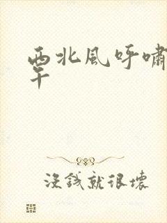 西北风呼啸的中午