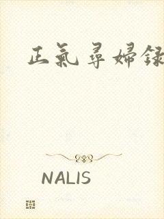 正气寻妇录