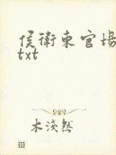 侯卫东官场笔记txt