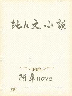 纯h文小说
