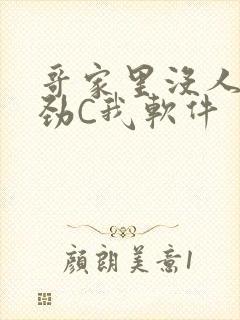 哥家里没人使点劲C我软件