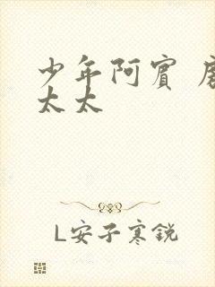 少年阿宾 房东太太