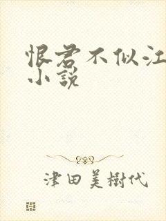 恨君不似江楼月小说