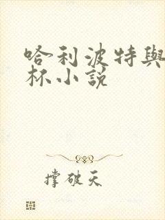 哈利波特与火焰杯小说