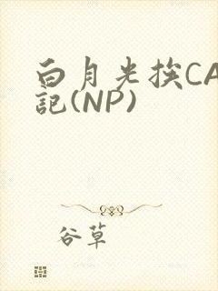 白月光挨CAO记(NP)