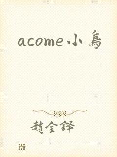 acome小鸟