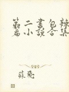 第二书包辣网短篇小说合集