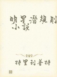 明星潜规则之皇 小说