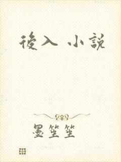 后入 小说