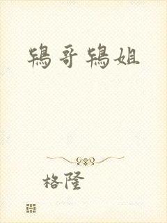 鸨哥鸨姐
