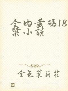 全肉黄码18无禁小说