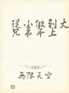 从小做到大骨科兄弟年上