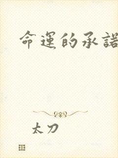 命运的承诺