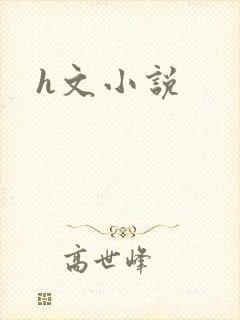 h文小说