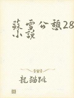 苏雪公憩28篇小说