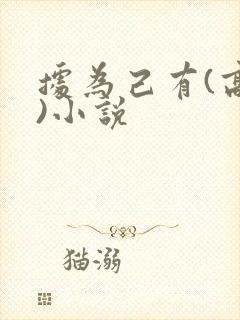 据为己有(高干)小说