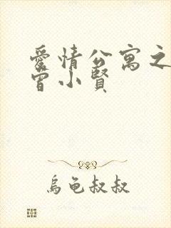 爱情公寓之极品曾小贤