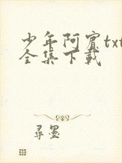 少年阿宾txt全集下载