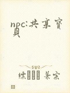 npc:共享宝贝
