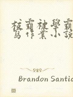 校霸被学霸压着写作业小说