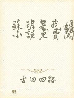 苏玥是我媳妇的小说免费阅读全文