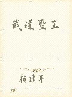 武道圣王