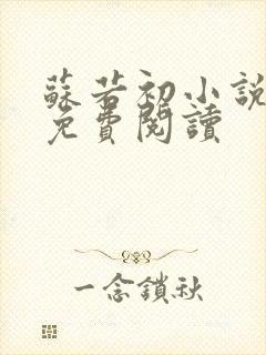 苏若初小说全文免费阅读