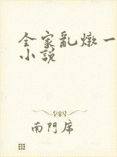 全家乱炖一锅烩小说