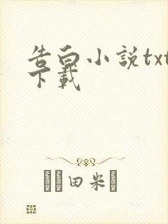 告白小说txt下载