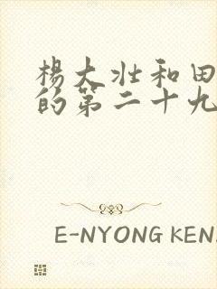 杨大壮和田桂花的第二十九