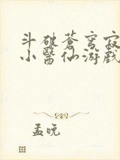 斗破苍穹寂寞的小医仙游戏世界