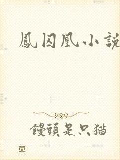 凤囚凰小说