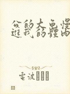 公的大龟慢慢挺进我的体内视频