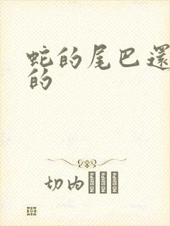 蛇的尾巴还在我的