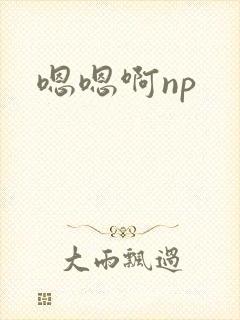 嗯嗯啊np