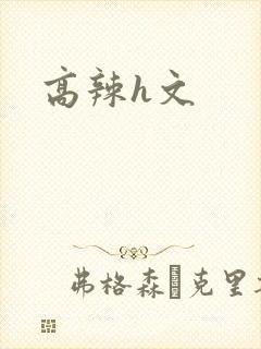 高辣h文