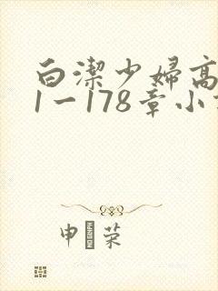 白洁少妇高义第1一178章小说